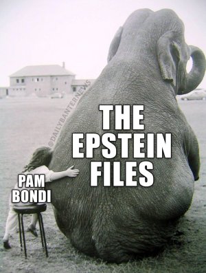 1000004362.jpg