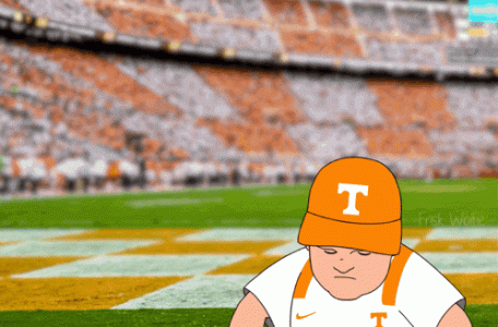 IMG_20250711_095219.gif