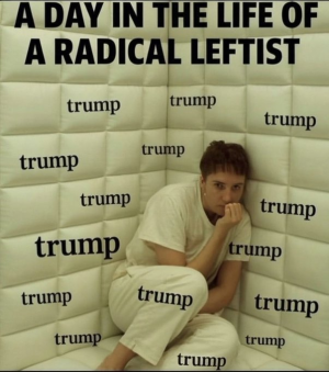 1752344019850.png