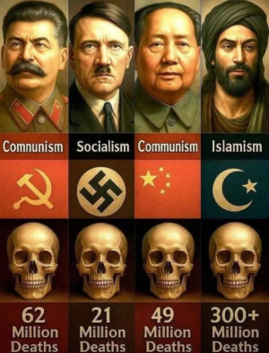 1752346408609.png