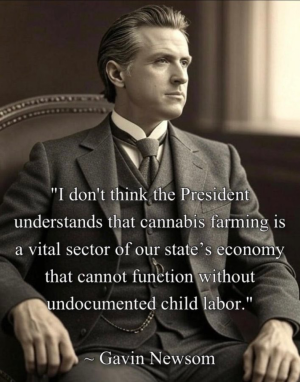 1752364476430.png