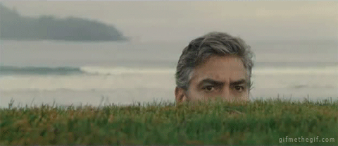 tumblr_inline_mt1anwXVBA1qz4rgp540.gif