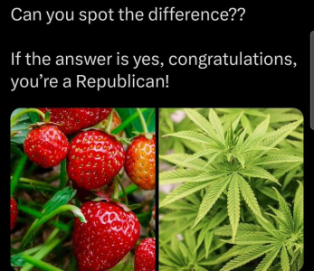 1752423344585.png