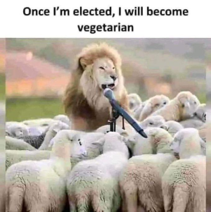 1752430492359.png