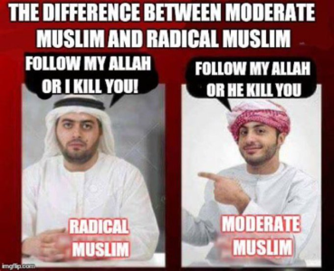 1752430551055.png