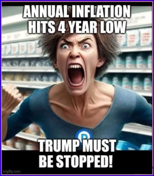 1752432269493.png