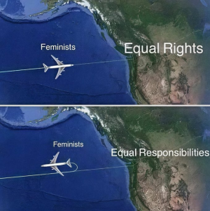 1752432617207.png