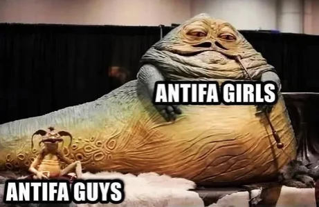 1752433279421.png
