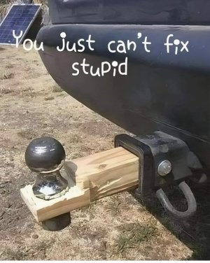 8a8d17b7a4b21c017c40f25f2a21ee7c.jpg