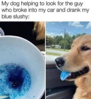 1000004452.jpg