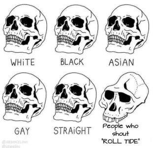 518584546_1260421125467322_4465730004350621983_n.jpg