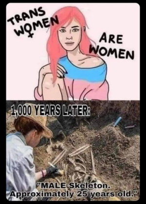 1752616759294.png