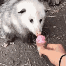 1752622397796.gif