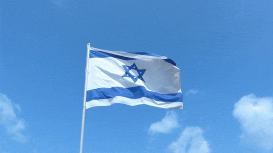 IMG_2115.gif