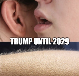 1752682920107.png