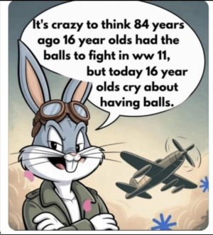1752687300910.png