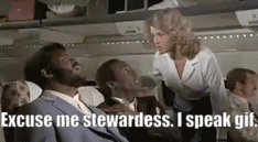 Excuse me stewardess. I speak gif..gif