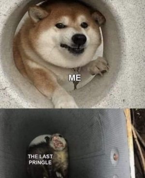 1000004472.jpg