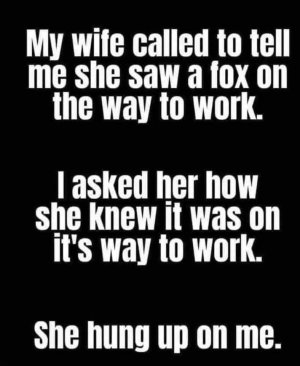 FB_IMG_1752743651384.jpg