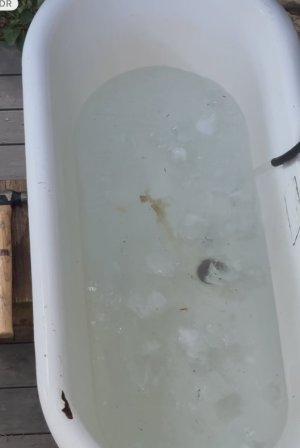 IMG_3127.jpeg