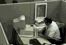 IMG_1053.gif