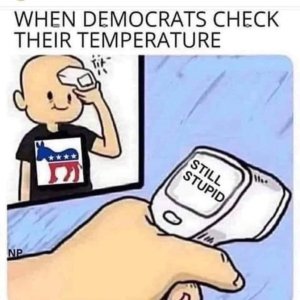 1000004531.jpg