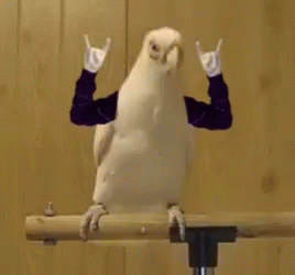 14930CE6-E930-4F5C-AAD3-58C7E8A12A3E.gif