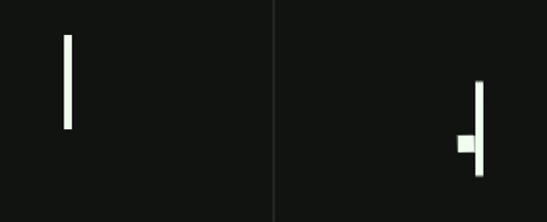 IMG_6831.gif