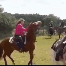 IMG_1025.gif