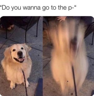 1000004572.jpg