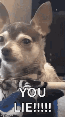 1000001645.gif