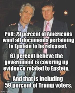 we-need-an-epstein-flair-for-thi.jpg