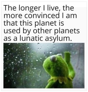 1000004625.jpg
