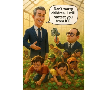 1753018862005.png