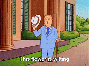 1753317499653.gif