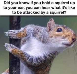 1000004729.jpg