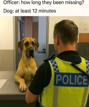 1000004645.jpg