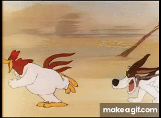 IMG_2188.gif