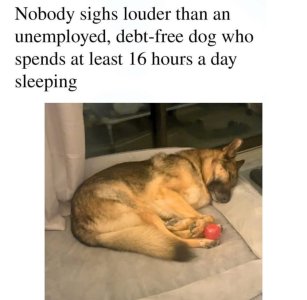 IMG_3572.jpeg