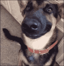 5FCD337E-A2D2-4F0B-91AC-C69949883349.gif