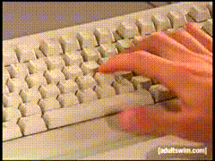 IMG_3237.gif
