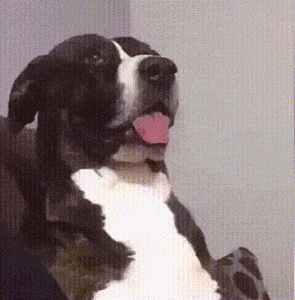 1753487915904.gif