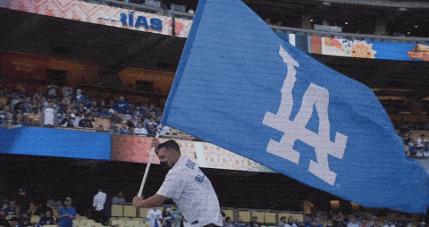 giphy-downsized (1).gif
