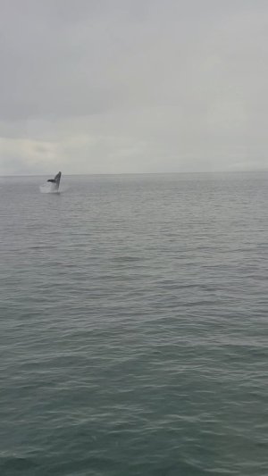 VideoCapture_20250724-075541.jpg