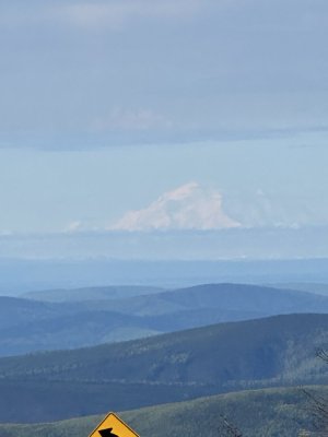 IMG_0942.jpeg