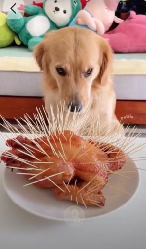 Screenshot_20250727_092543_Pinterest.jpg