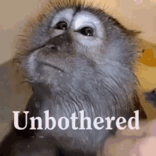 unbothered-dont-care.gif