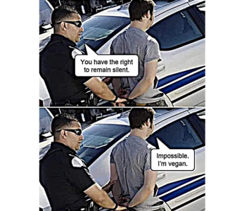 1753663998381.png