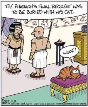 Pharaoh's cat.jpg