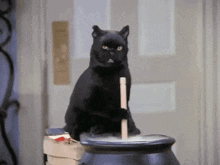 IMG_6743.gif